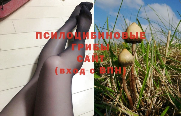 марки lsd Богородицк