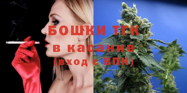 ГАЛЛЮЦИНОГЕННЫЕ ГРИБЫ Заводоуковск