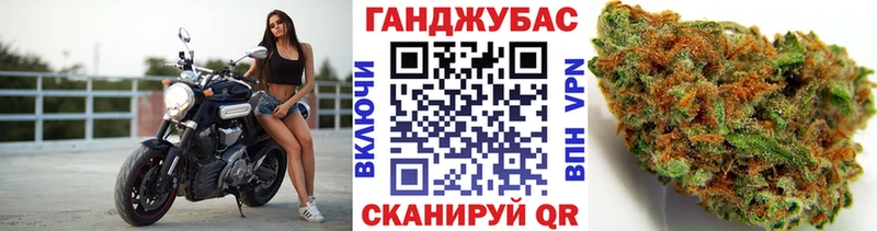 Каннабис сатива  Киселёвск 